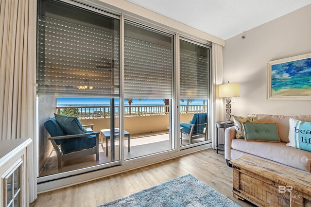 527 Beach Club Trl Unit C305, Gulf Shores, AL 36542 - doorway featuring wood finished floors