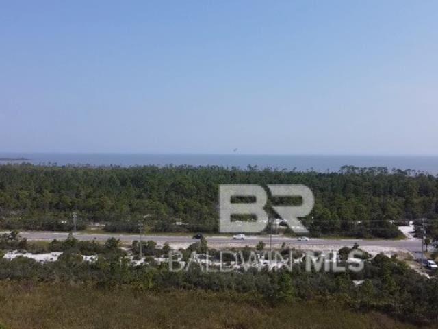 bird's eye view featuring a view of trees and a water view