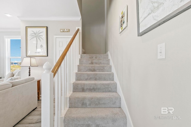 stairway with hardwood / wood-style flooring and ornamental molding
