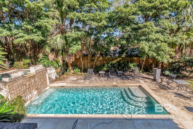 view of pool with a patio area