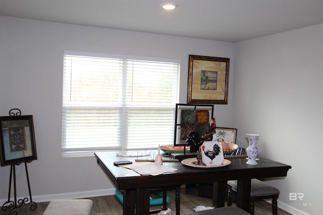 dining room with wood-type flooring