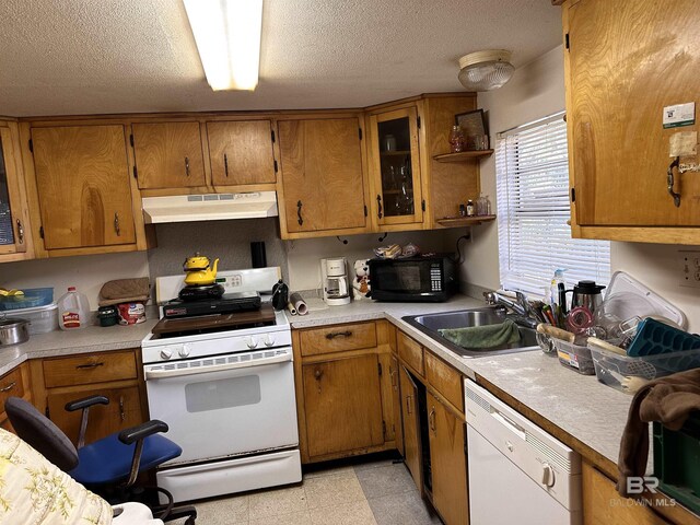 kitchen with white appliances, brown cabinetry, under cabinet range hood, light countertops, and a sink