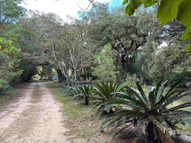 view of street