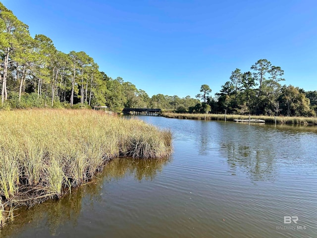 property view of water