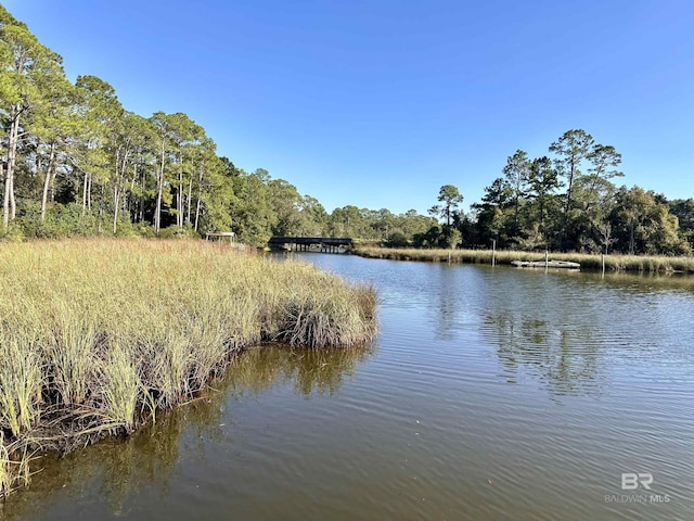 water view featuring a view of trees