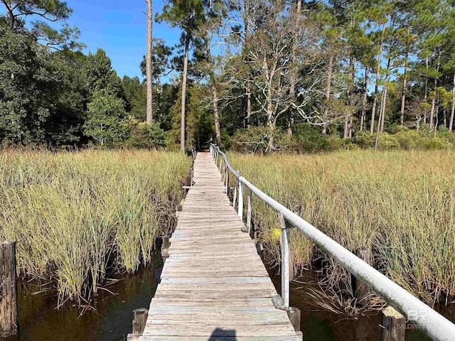 dock area with a water view