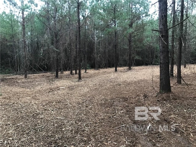 0 Wilmer Georgetown Rd, Wilmer AL, 36587 land for sale