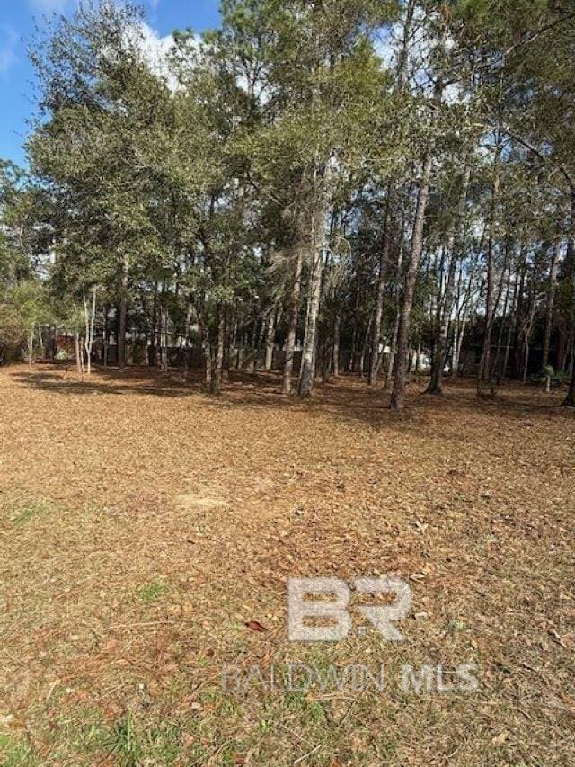 Bunker Loop, Fairhope AL, 36532 land for sale