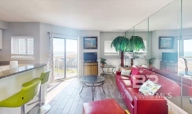 living room featuring hardwood / wood-style flooring