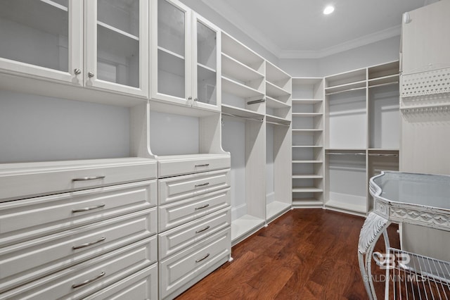 202 Paddle Creek Loop, Fairhope, AL 36532 - walk in closet with dark wood-type flooring