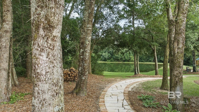 202 Paddle Creek Loop, Fairhope, AL 36532 - view of surrounding community
