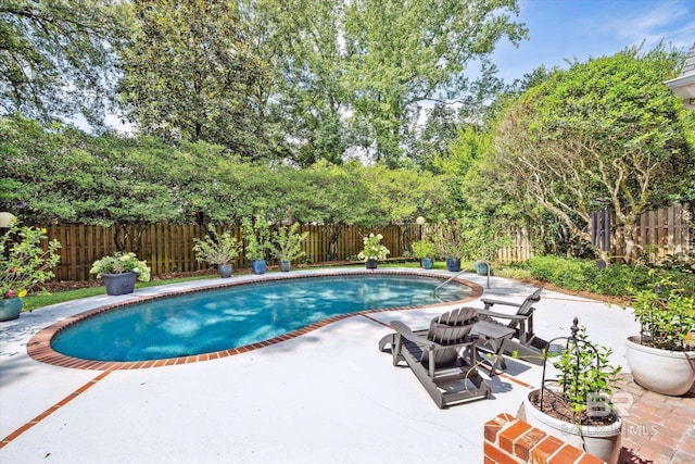 view of pool featuring a patio area