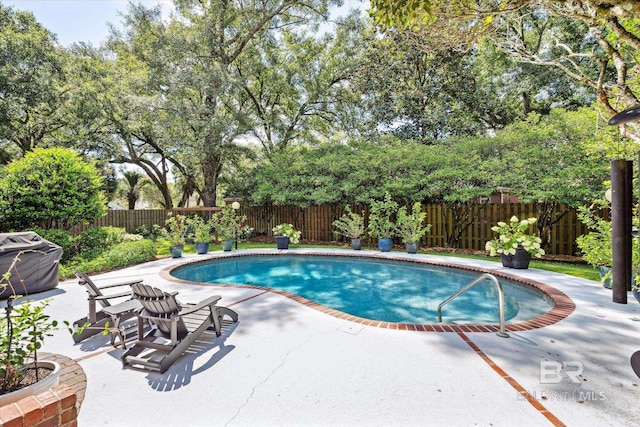 view of pool featuring a patio area