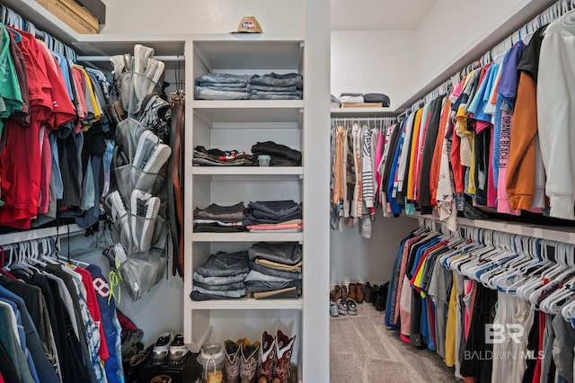 spacious closet featuring carpet flooring