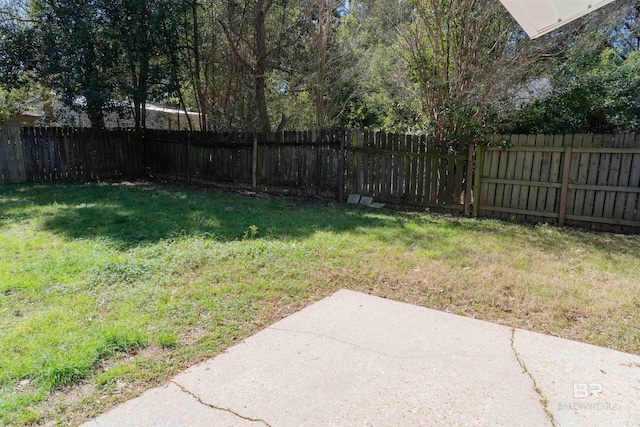 view of yard featuring a fenced backyard and a patio