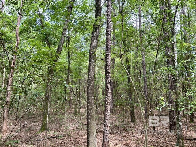 0 Thompson Rd, Stockton, AL 36579