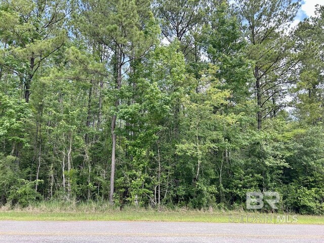 0 Thompson Rd, Stockton, AL 36579