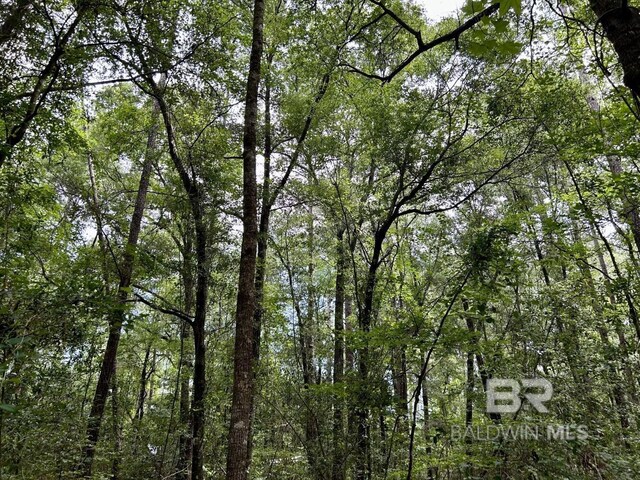 0 Thompson Rd, Stockton, AL 36579