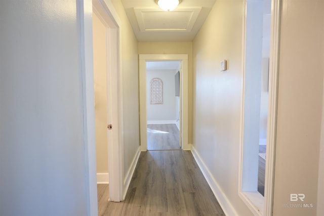 corridor featuring wood-type flooring