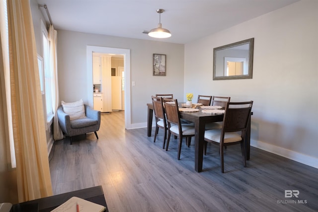 dining room with wood-type flooring