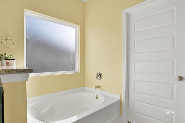 bathroom with a bathing tub