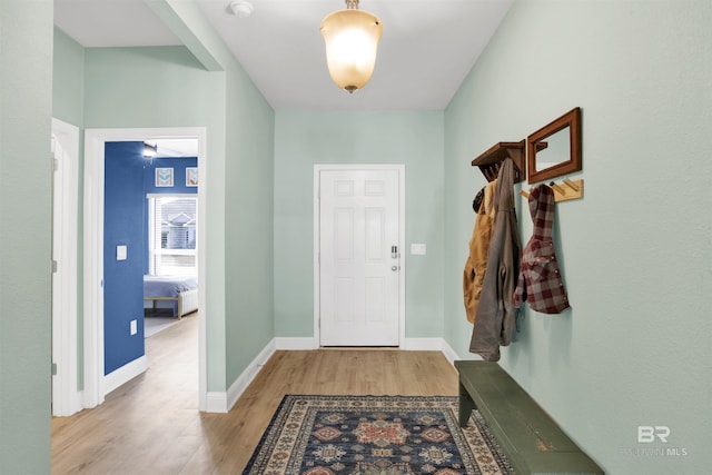 foyer entrance with light hardwood / wood-style flooring