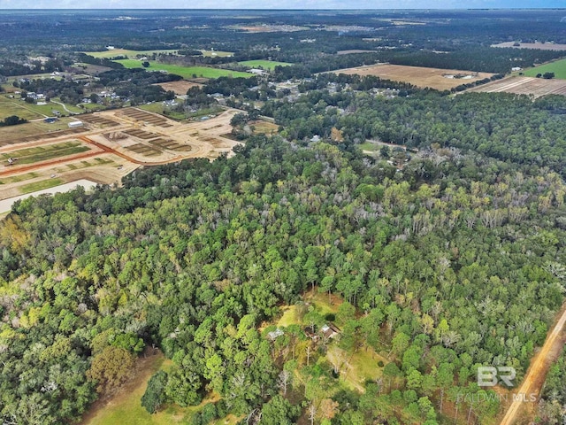 birds eye view of property with a rural view