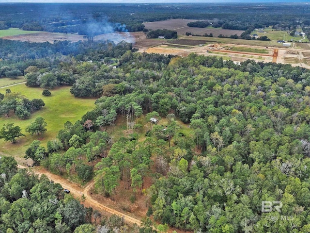 bird's eye view featuring a rural view