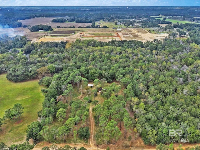 bird's eye view featuring a rural view