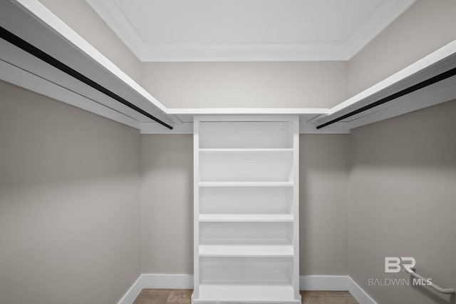 751 Abbey Way, Mobile, AL 36695 - spacious closet featuring wood finished floors