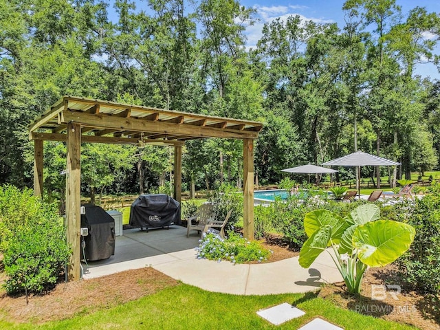 view of patio / terrace with an outdoor pool, grilling area, and a pergola