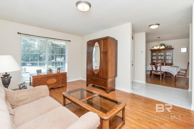 living room featuring light hardwood / wood-style floors