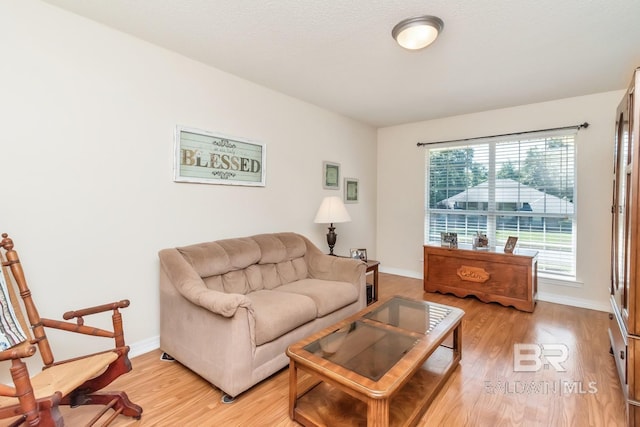 living room featuring light hardwood / wood-style floors