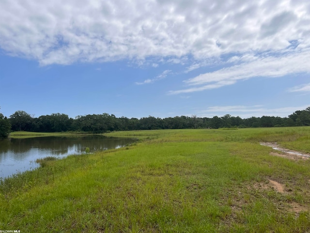 Listing photo 3 for 0 County Road 13, Fairhope AL 36532