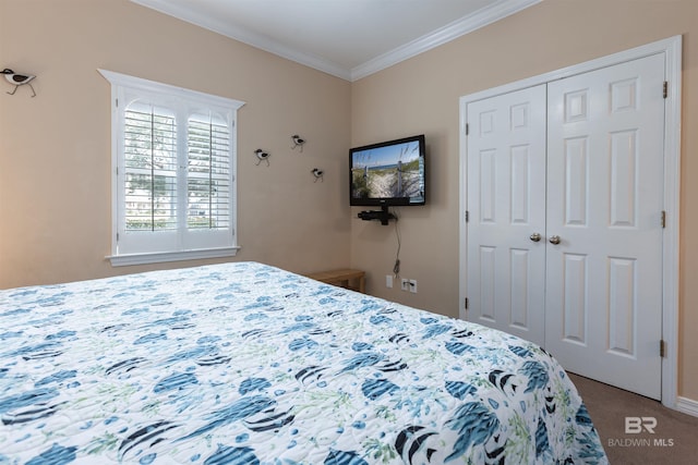 carpeted bedroom with a closet and crown molding