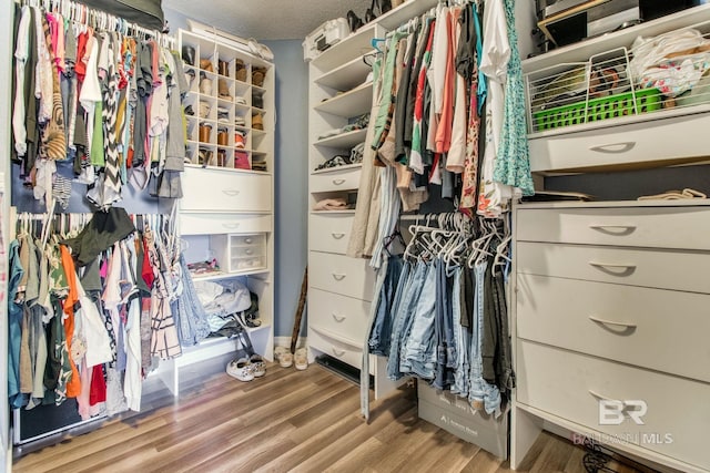 10675 Aloe Ln, Lillian, AL 36549 - walk in closet with wood finished floors