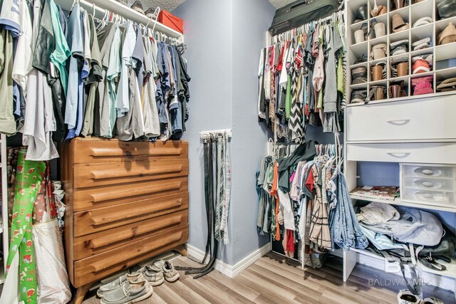 10675 Aloe Ln, Lillian, AL 36549 - walk in closet featuring wood finished floors