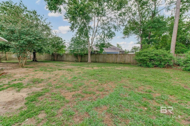 10675 Aloe Ln, Lillian, AL 36549 - view of yard