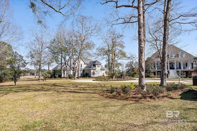 view of yard featuring driveway