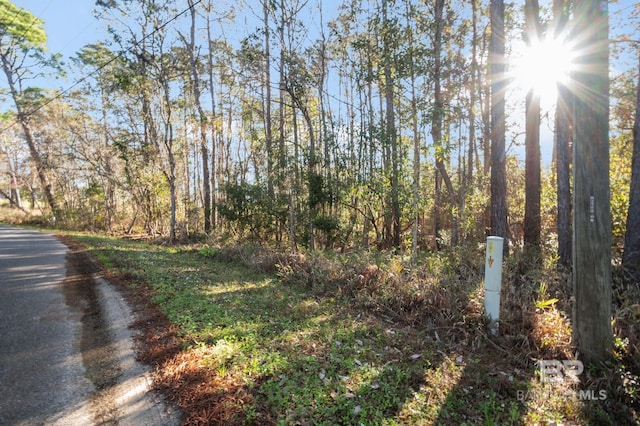 0 Soldier Creek Rd, Lillian AL, 36549 land for sale