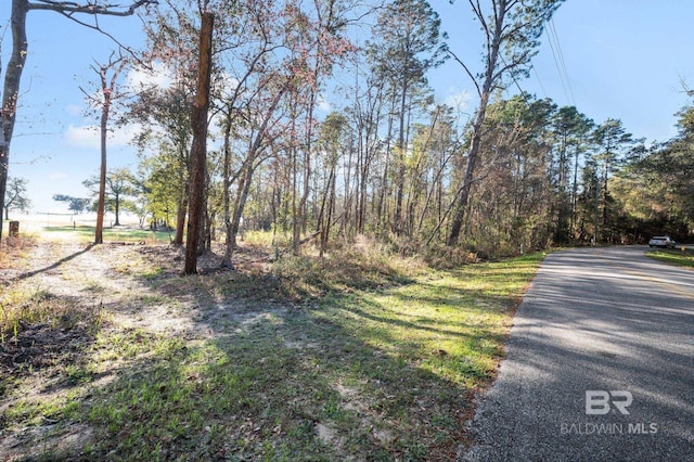 Listing photo 3 for 0 Soldier Creek Rd, Lillian AL 36549