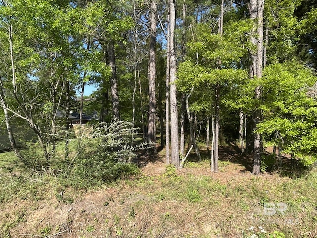 0 Pinemont Dr, Mobile, AL 36609