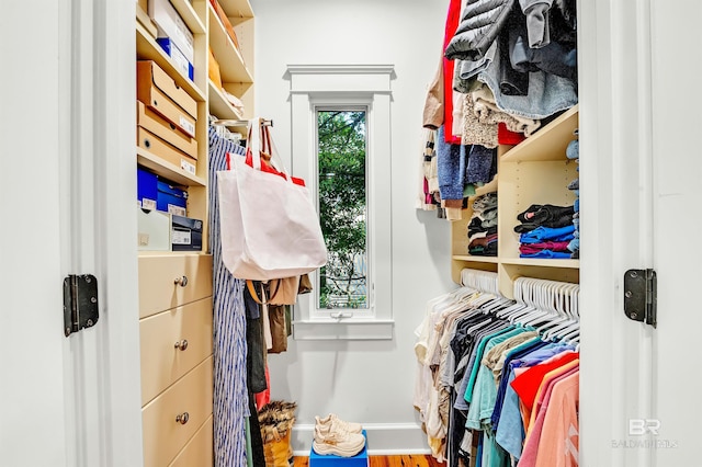 view of spacious closet