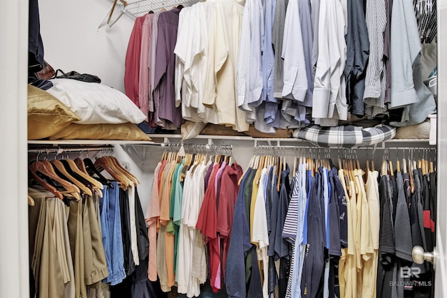 view of walk in closet