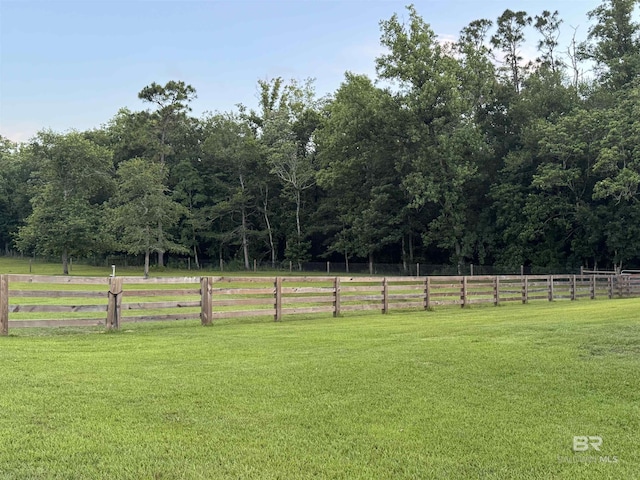 14281 Timber Ridge Dr, Loxley, AL 36551 - view of yard featuring a view of countryside and a forest view