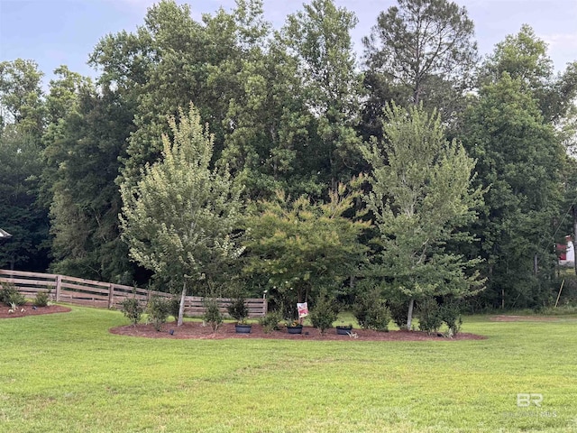 14281 Timber Ridge Dr, Loxley, AL 36551 - view of yard