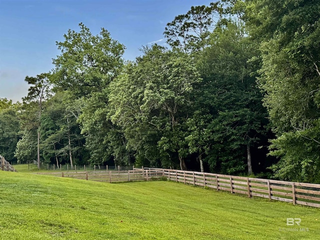 14281 Timber Ridge Dr, Loxley, AL 36551 - view of yard with a wooded view
