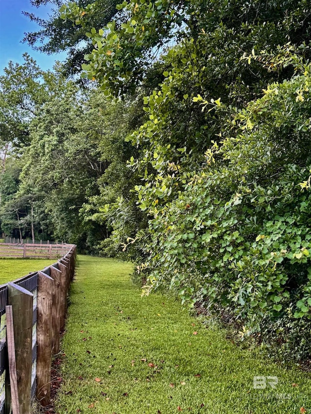 14281 Timber Ridge Dr, Loxley, AL 36551 - view of yard
