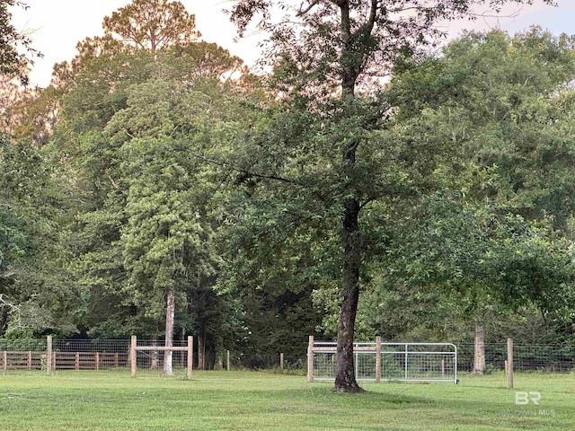 14281 Timber Ridge Dr, Loxley, AL 36551 - view of yard featuring a forest view