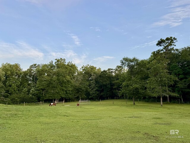 14281 Timber Ridge Dr, Loxley, AL 36551 - surrounding community